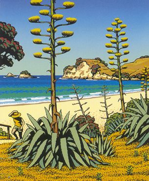 Century Agaves, Hahei