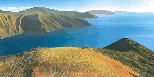 Entrance Pelorus Sound