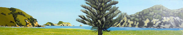 Matauri Bay - Norfolk Pine