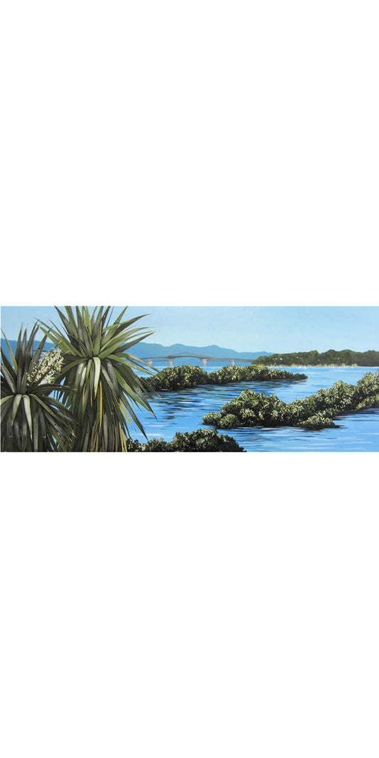 Kirsty Nixon | The Bridge Auckland | Art for Hire | Art for Sale