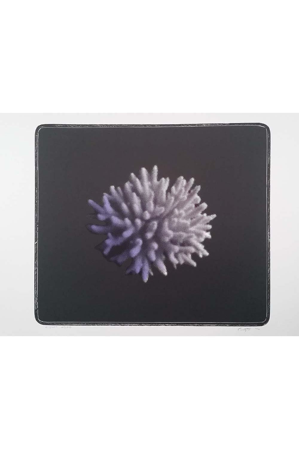 Rodney Fumpston | Violette Head | Prints for Sale | Art for Hire