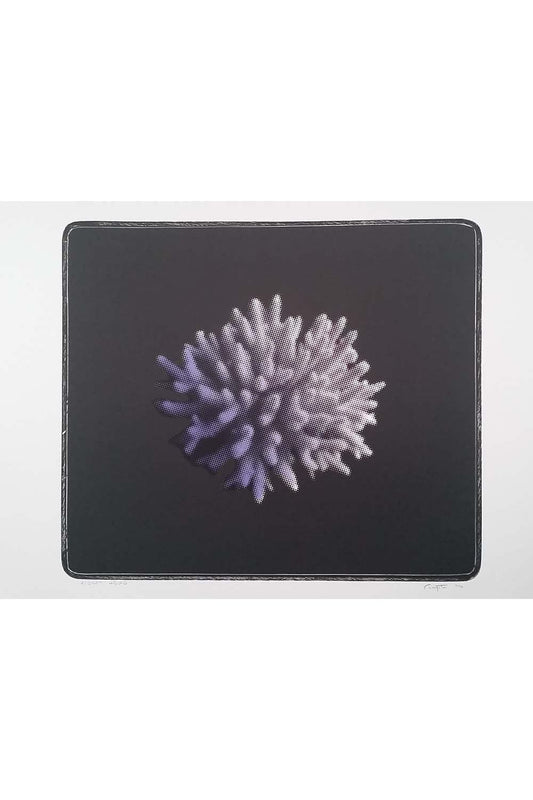 Rodney Fumpston | Violette Head | Prints for Sale | Art for Hire