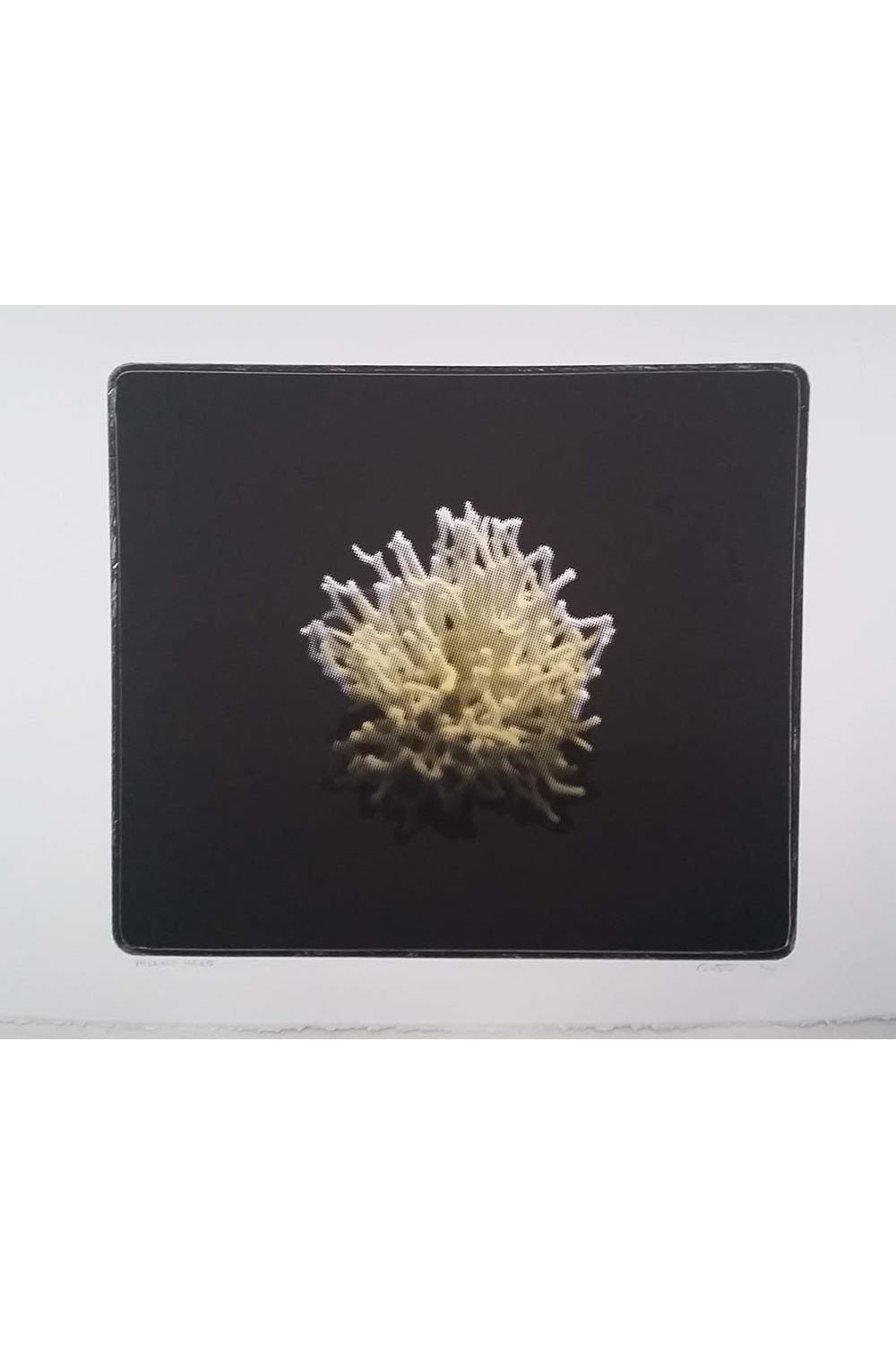 Rodney Fumpston | Yellow Head | Prints for Sale | Art for Hire