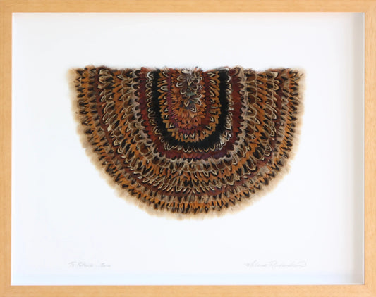 Framed Featherwork - Te Putawa - Toru by Melanie Richardson