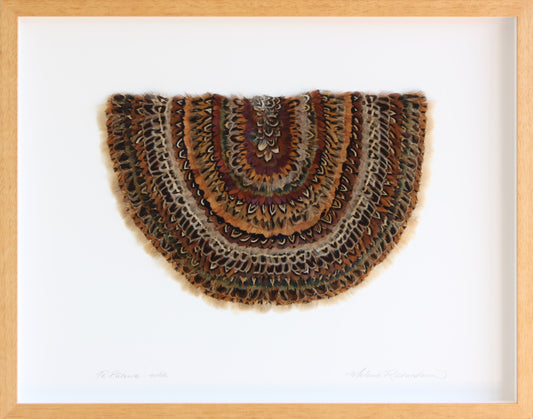 Framed Featherwork by Melanie Richardson
