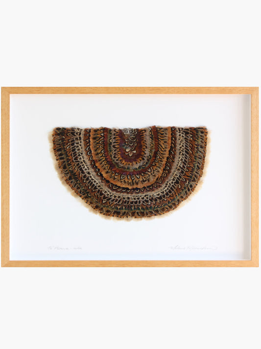 Melanie Richardson | Te Puawa Wha | Art for Sale | Art for Hire