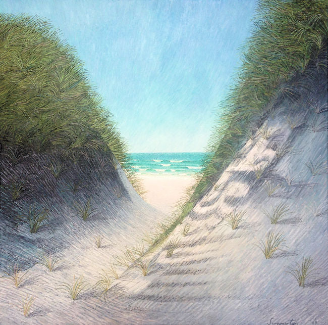 The Passage Aramoana