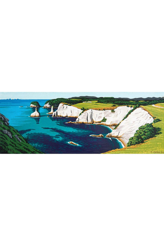 Tony Ogle | Champagne Cliffs South Hahei | Prints for Sale | Art for Hire
