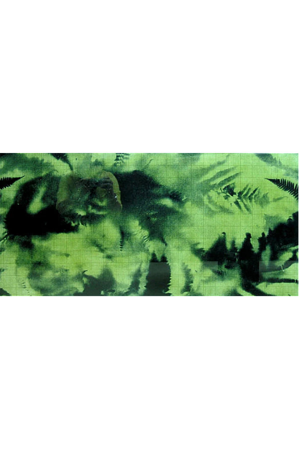 A rectangular fabric or material swatch with an abstract green and black pattern, centered on a white background.