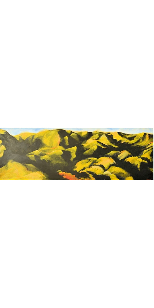 Michael Mirfen | Dawn Hills | Art for Sale | Art for Hire