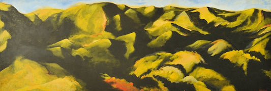 Dawn Hills
