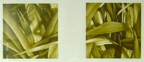 Flax Shadows