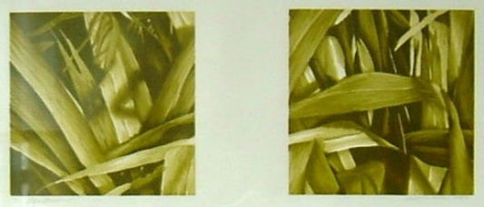 Flax Shadows