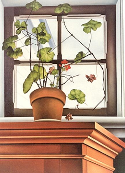 Geraniums