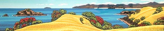 Great Barrier Summer