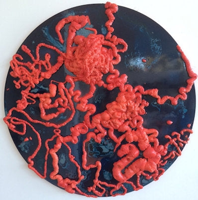 Intestines