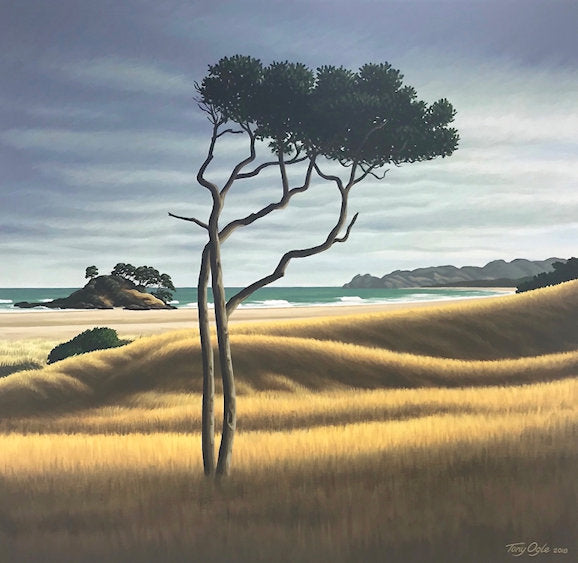 Karaka - Ohui - Coromandel