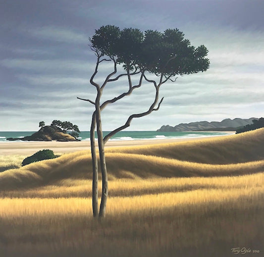 Karaka - Ohui - Coromandel