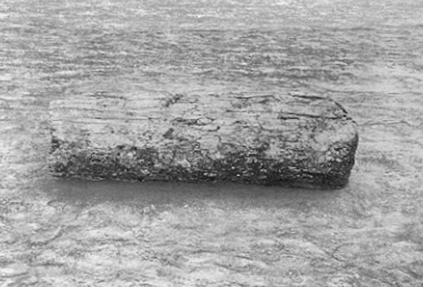 Log