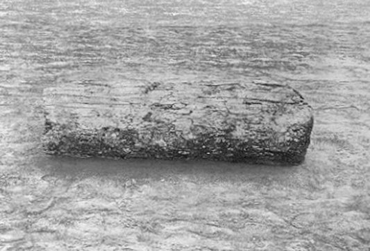 Log