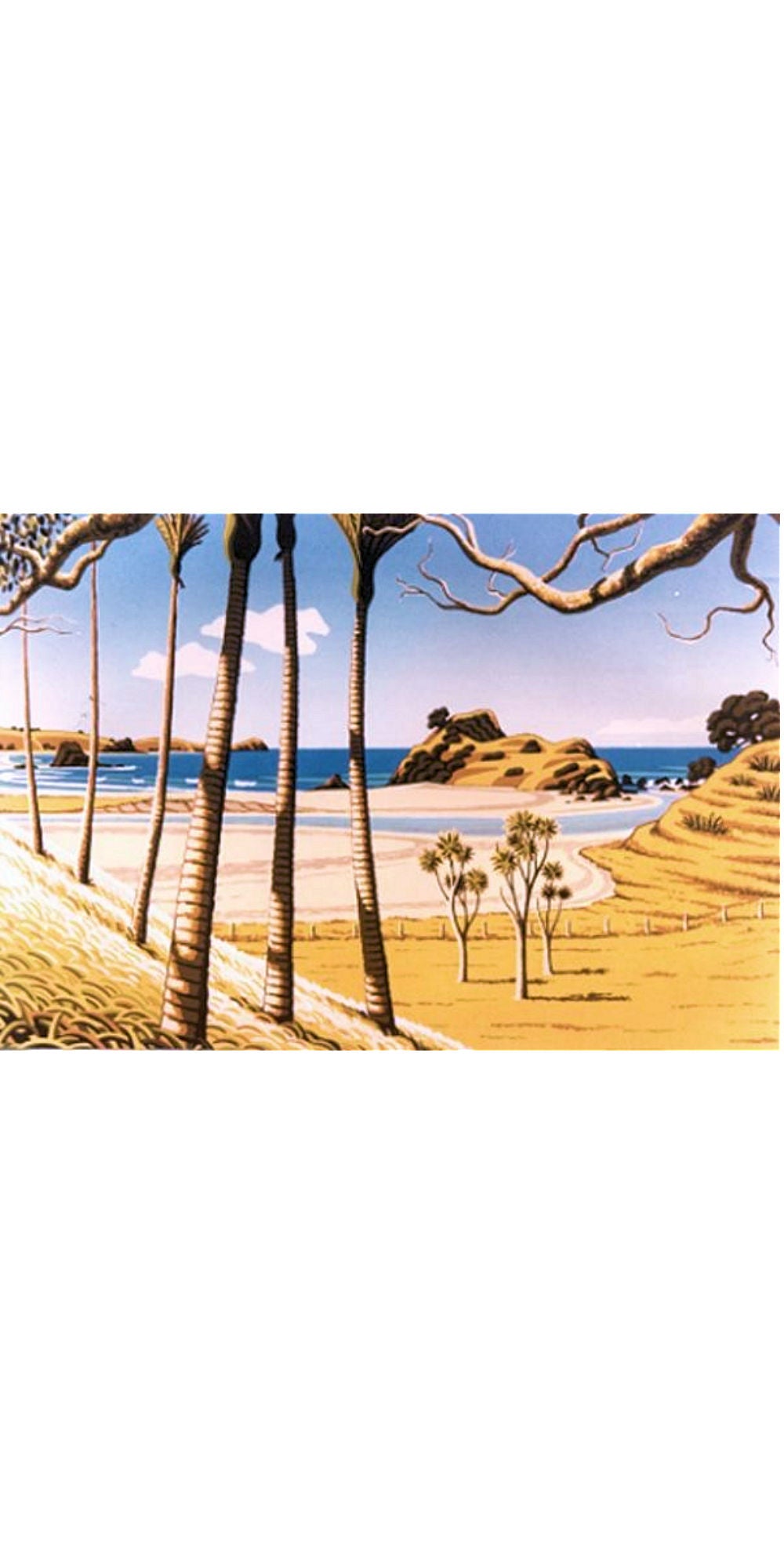 Tony Ogle | Mimiwhangata | Art for Hire | Prints for Sale