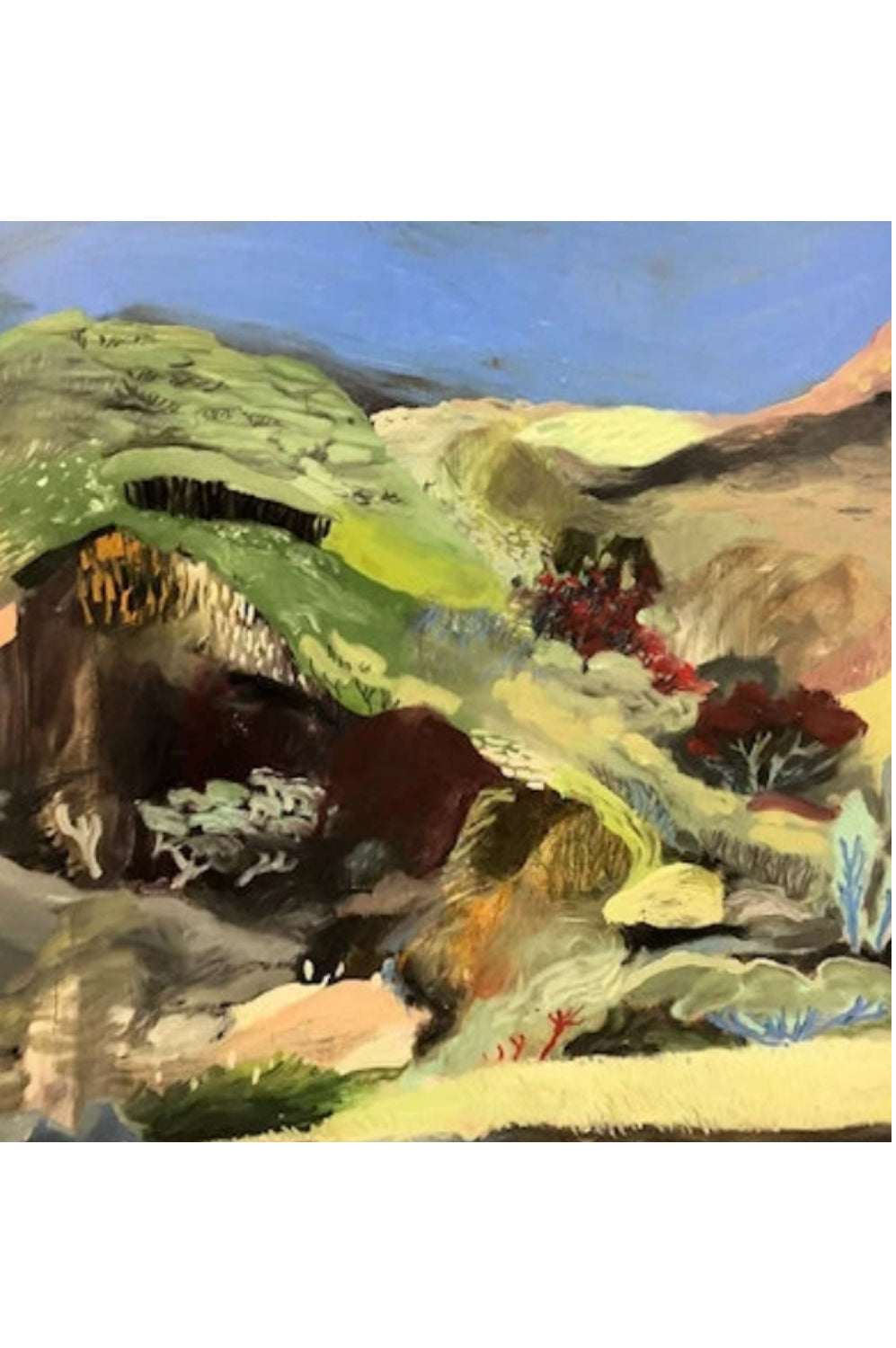 Piha Landscape