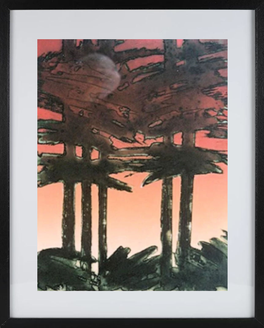 Barbara Graham | Pines | Art for Hire | Art for Sale