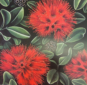 Pohutukawa