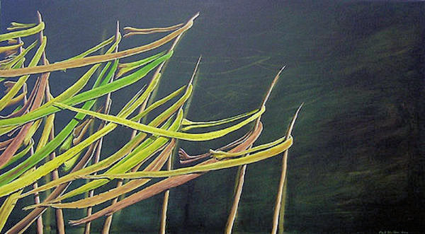 Shore Lines
