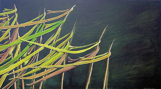 Shore Lines