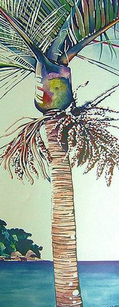 Summer Nikau