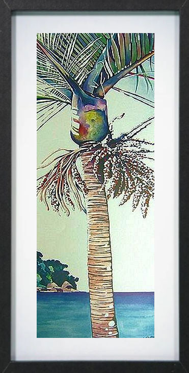 Summer Nikau