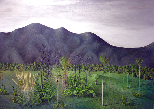 Justin Summerton | The Native Garden | Art for Sale | Art for Hire