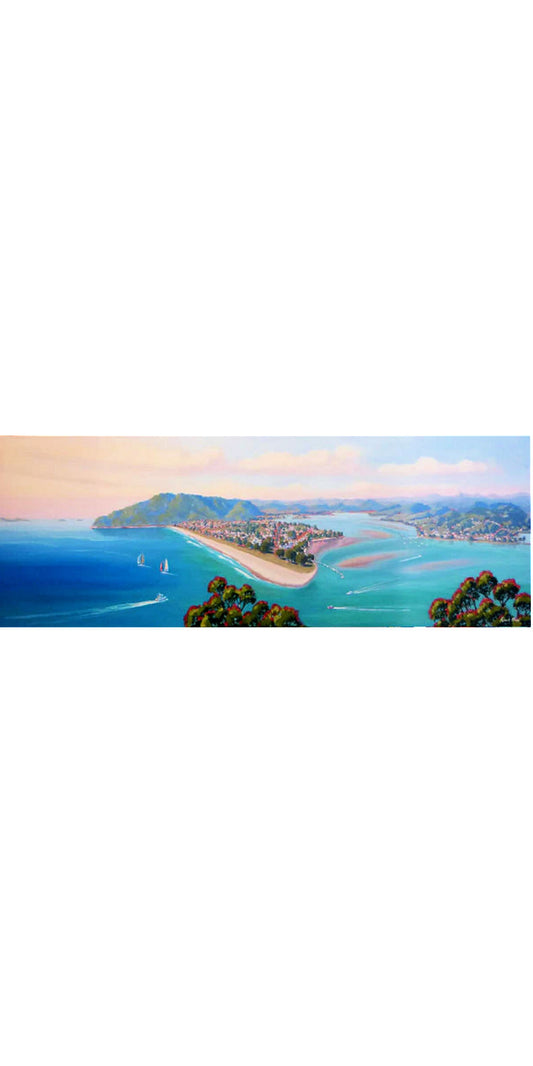 Robert Hiew | View of Pauanui | Art for Hire | Art for Sale