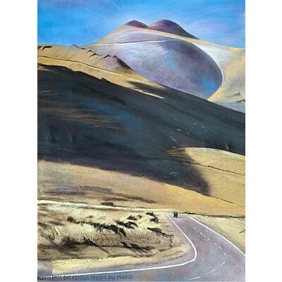 Burkes Pass Dog Kennel Corner