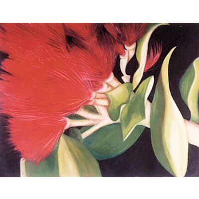 Pohutukawa
