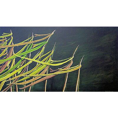 Shore Lines