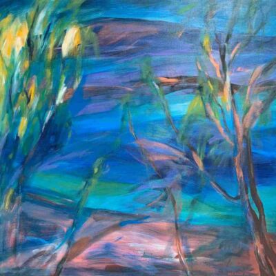 Spring Moonlight Coromandel