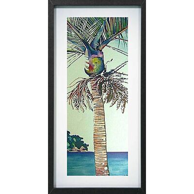 Summer Nikau
