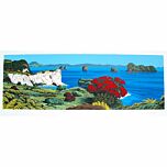 Cathedral Cove Reserve by Tony Ogle