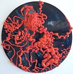 Intestines by S J Smith