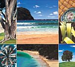 Moana Points North by Alison Gilmour