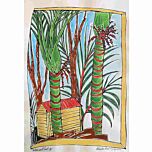 Nikau and Shed