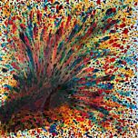 Parading Peacock by S J Smith
