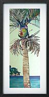 Summer Nikau by Jane Puckey