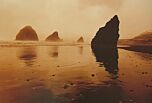 The Reflecting Tide by Jo Crowther
