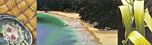 Whale Bay, Tutukaka by Alison Gilmour